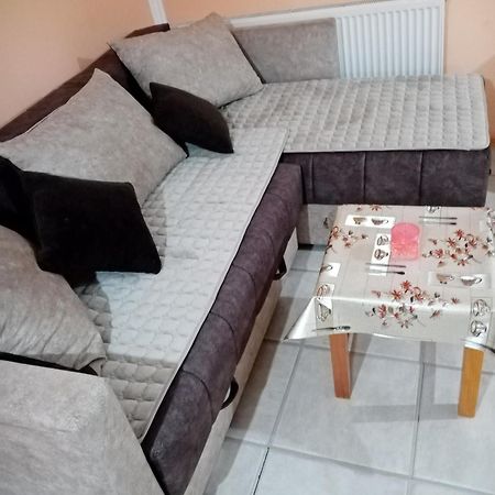 Milica Apartmani Врднік Екстер'єр фото