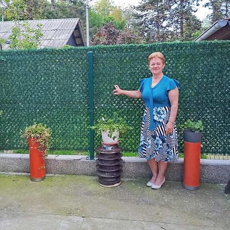 Milica Apartmani Врднік Екстер'єр фото