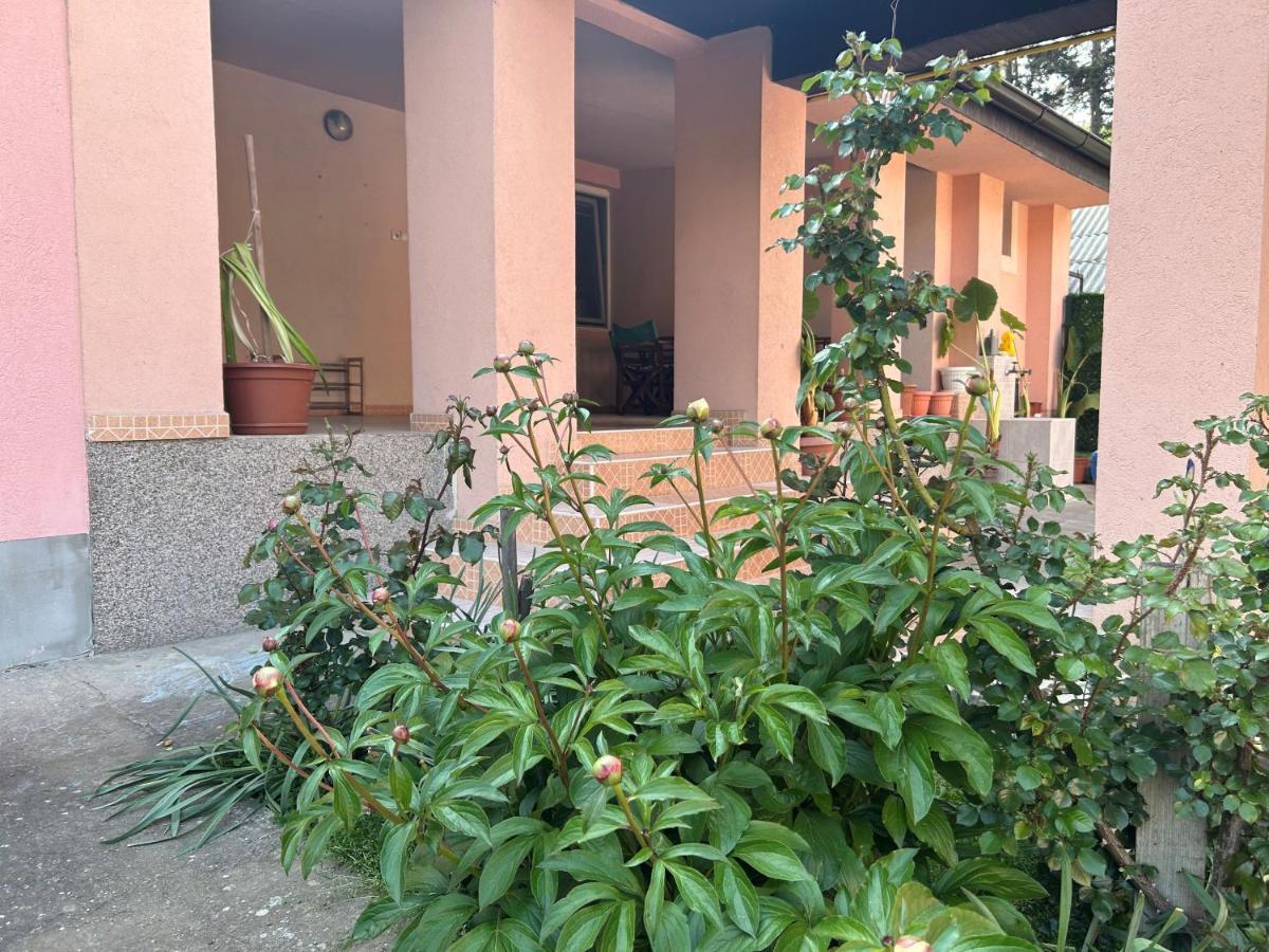 Milica Apartmani Врднік Екстер'єр фото