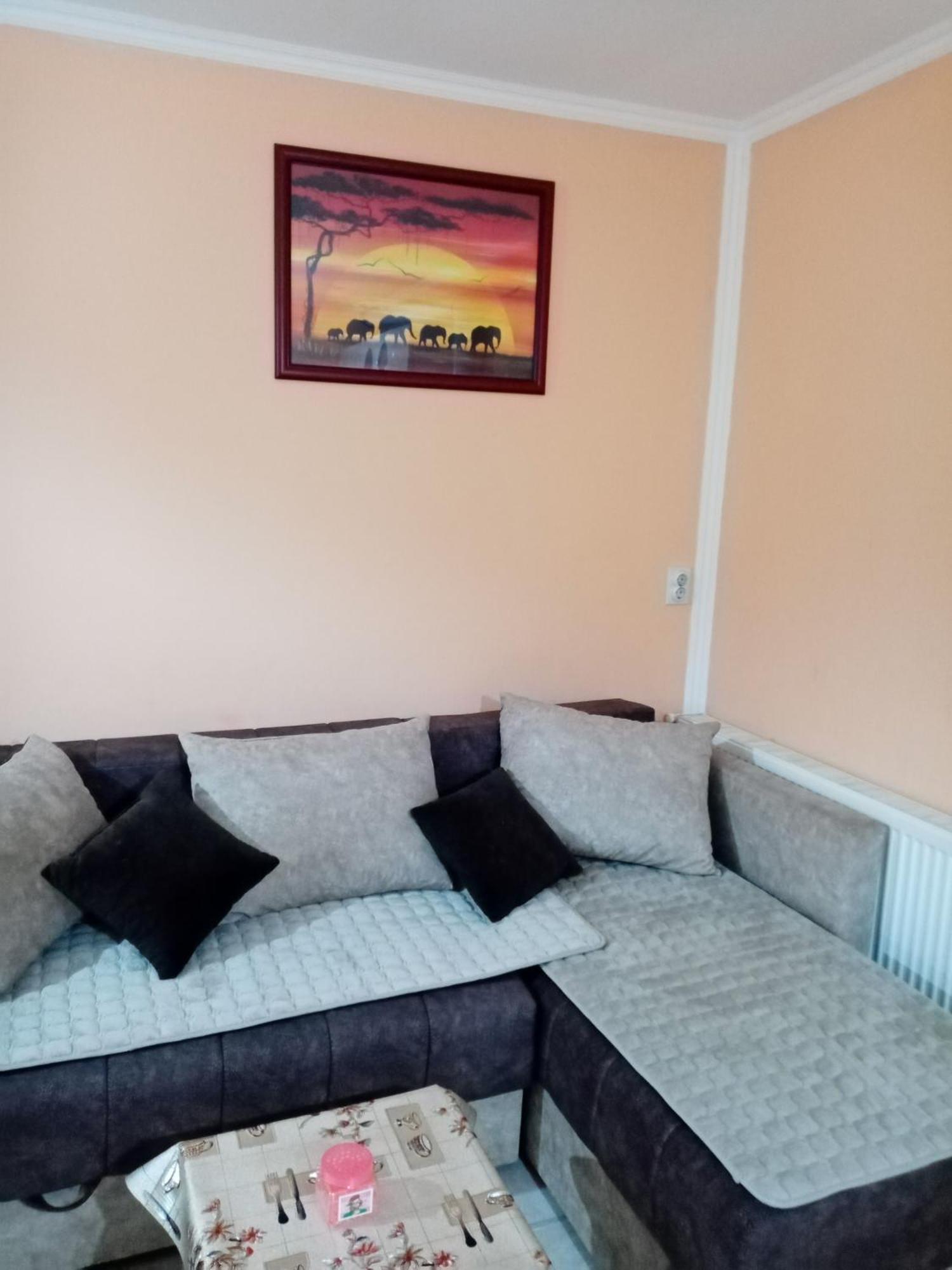 Milica Apartmani Врднік Екстер'єр фото