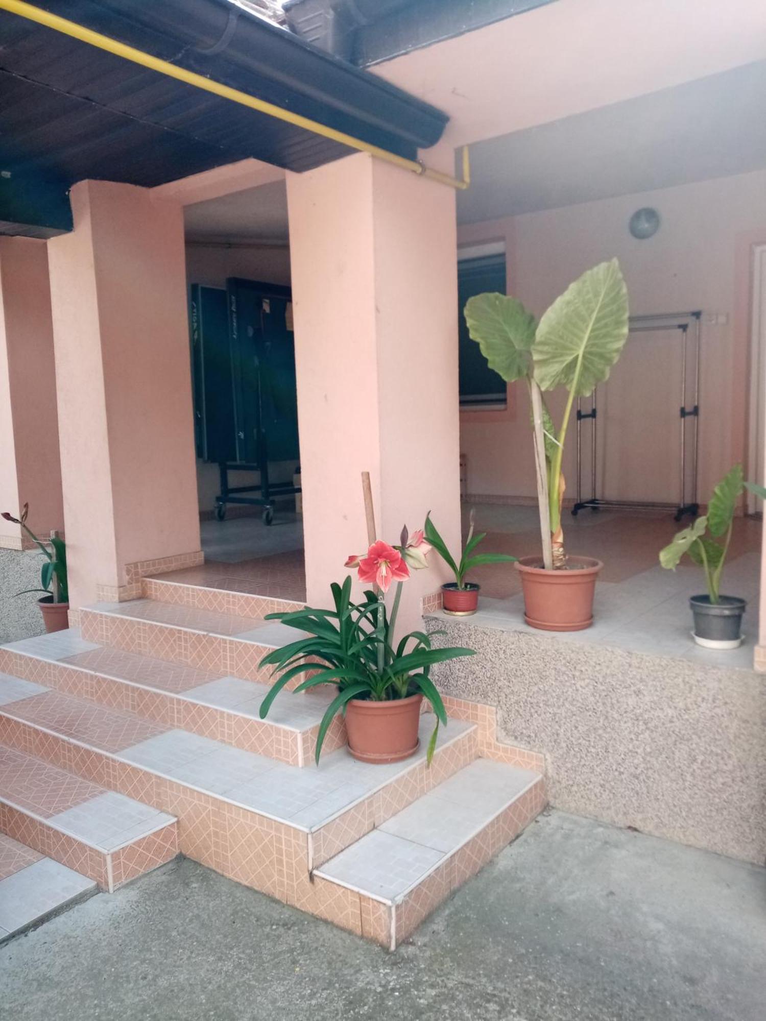 Milica Apartmani Врднік Екстер'єр фото