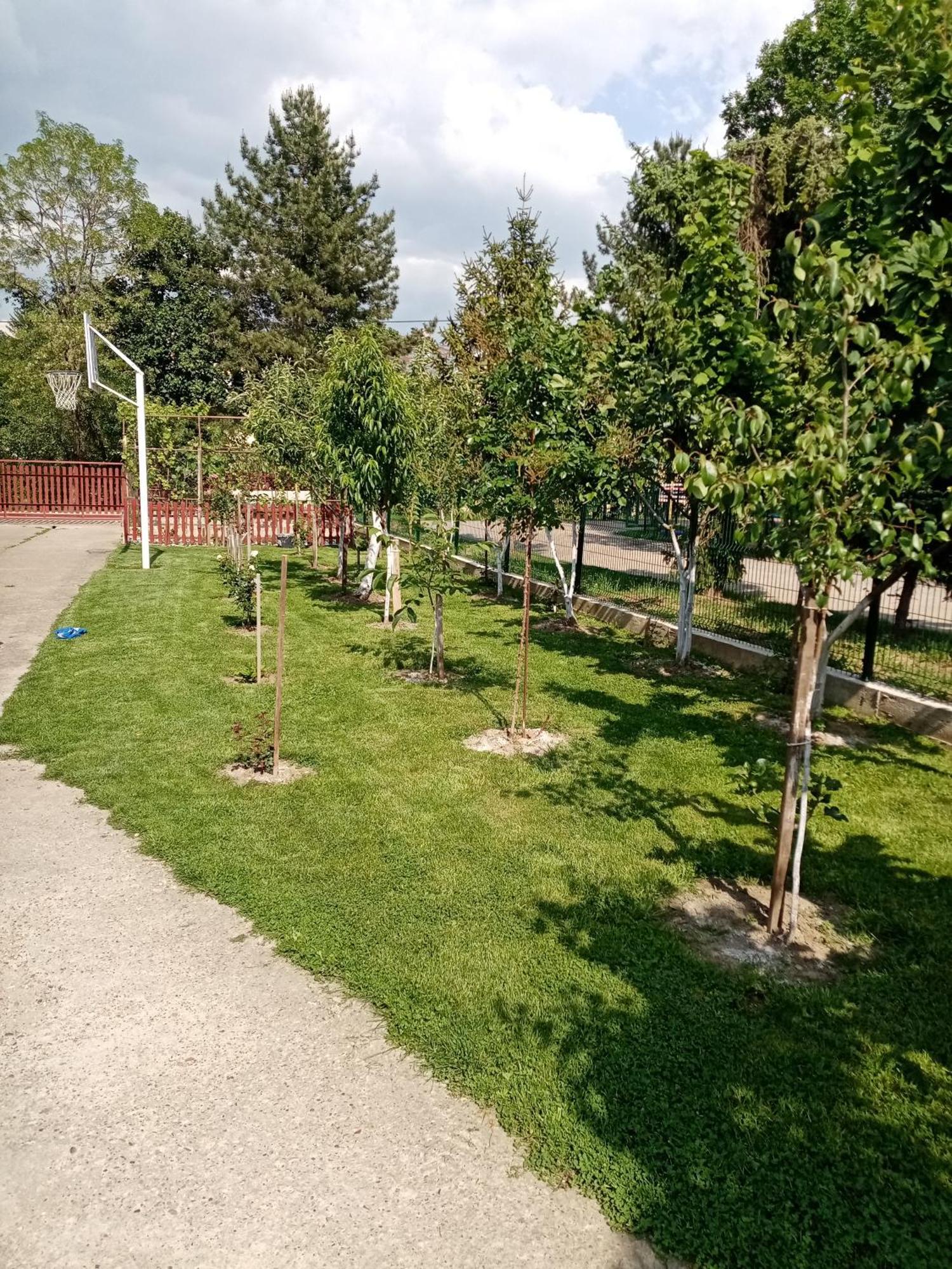 Milica Apartmani Врднік Екстер'єр фото
