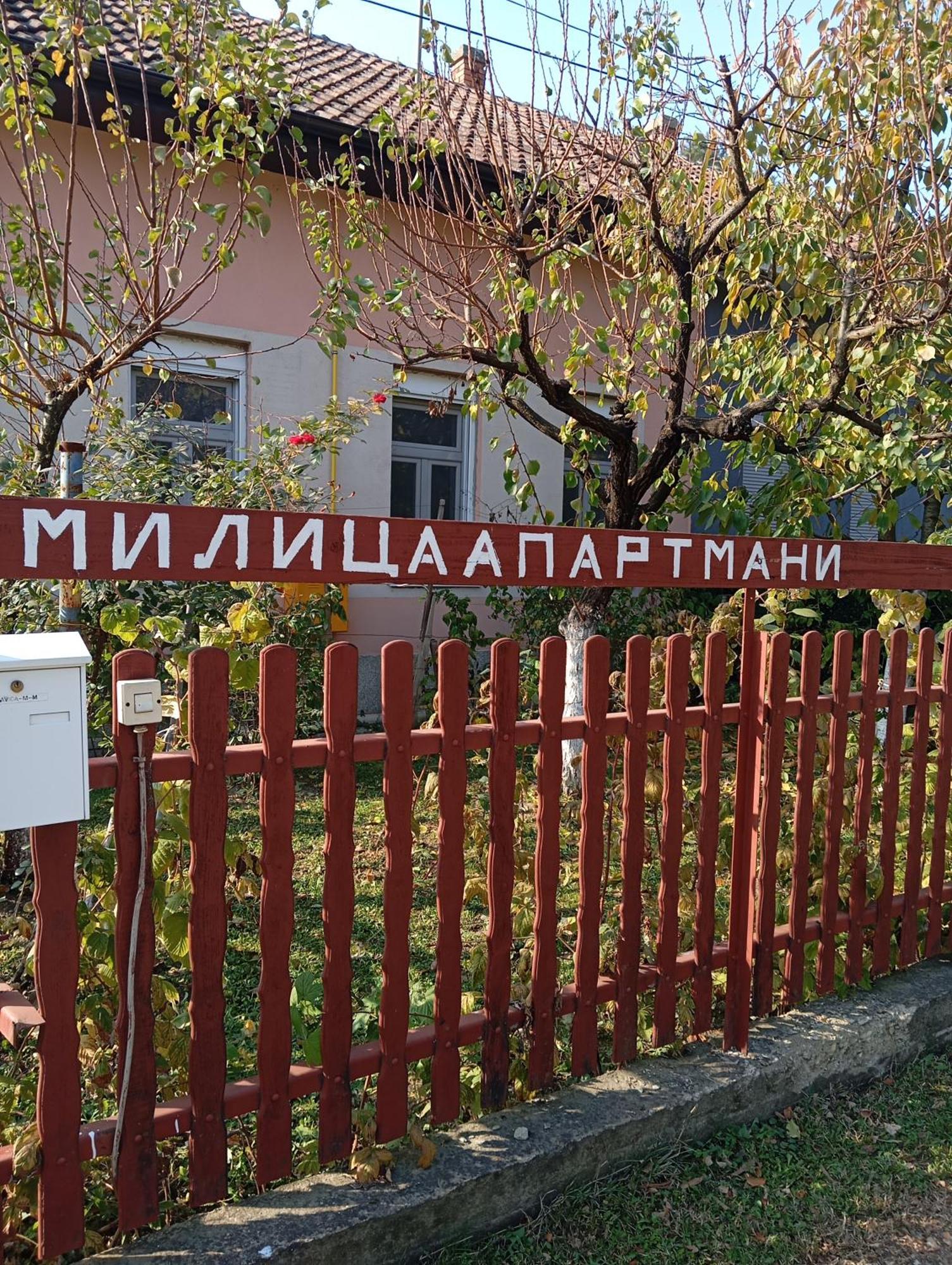 Milica Apartmani Врднік Екстер'єр фото