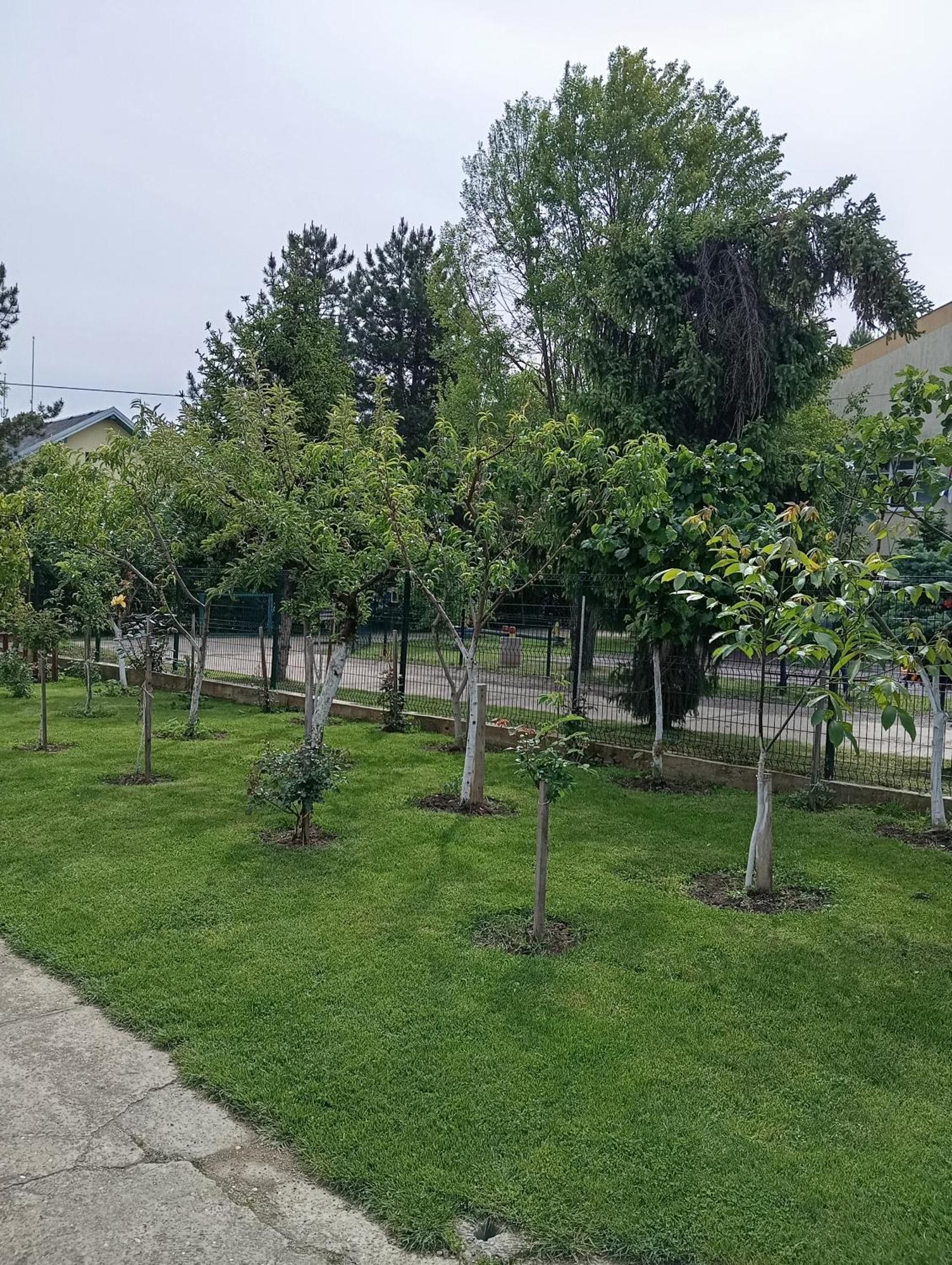 Milica Apartmani Врднік Екстер'єр фото